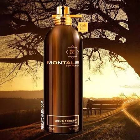 Montale Aoud Forest EDP 100ml за Мъже и Жени – Луксозен парфюм | LuxyAroma